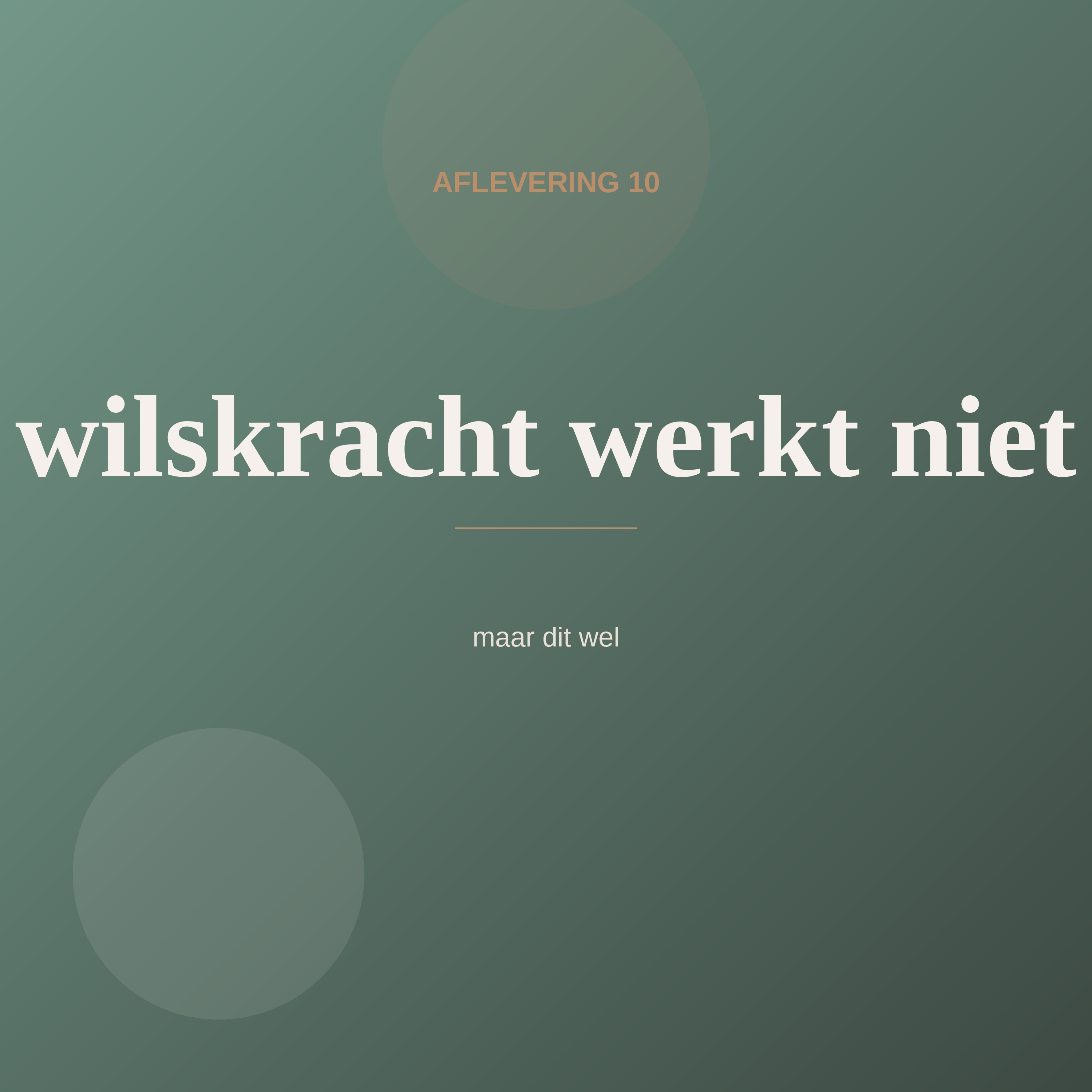 Aflevering 10