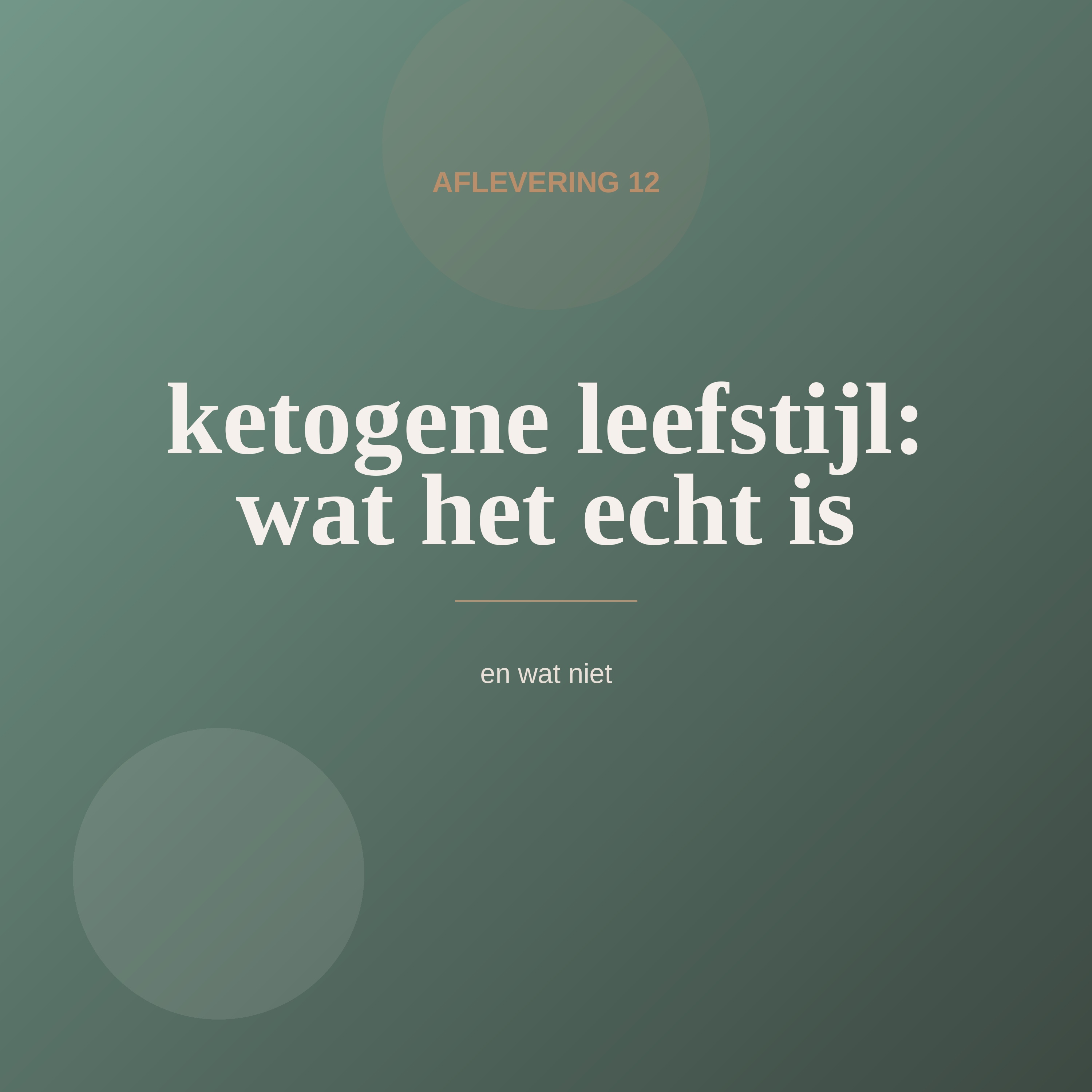 Aflevering 12